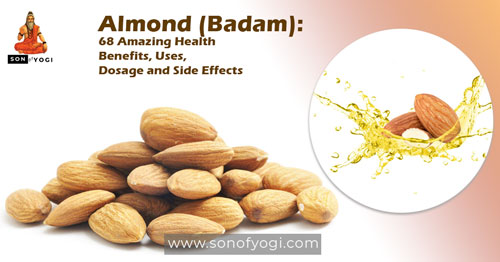Almond (Badam): 68 Amazing Health Benefits, Uses, Dosage and Side Effects